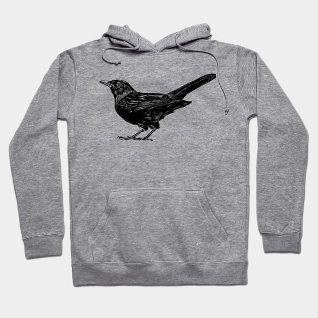 Blackbird Hoodie by rachelsfinelines